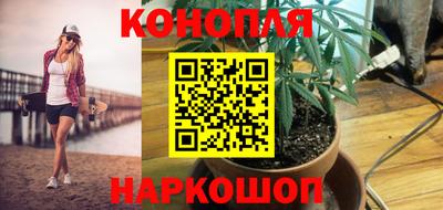 шишки Ликино-Дулёво