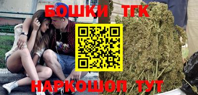 стаф Лесосибирск
